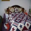 Hot!!! High Quality Imported Quilts