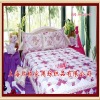 Hot!!! Princess Girls Comforters