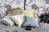 Hot Sale 100% Pure Silk Cushion