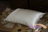 Hot Sale Pure Silk pillow