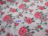 Hot sale PBT fabrics