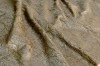 Hot stamp Suede Fabric