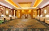 Hotel Carpet