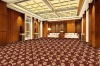 Hotel Carpet C589