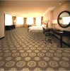 Hotel/Office Modern Design Cut Pile Carpet