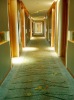 Hotel corridor carpet