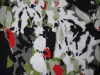 ITY print fabric