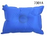 Inflatable Pillow