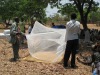 Insecticide Treated Mosquito Nets LLINs Sipplier from China