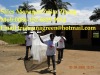 Insecticide-Treated Nets(ITNs)/long lasting nets/Treated Bed nets/long lasting insecticide nets