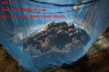 Insecticide treated mosquito net/ long lasting mosquito net-LLIN