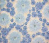 JACQUARD CORAL FLEECE FABRIC