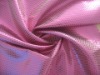 Jacquard Metallic Fabric