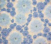 Jacquard coral fleece fabric