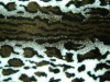 Jacquard high pile fur fabric