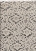 Jacquard lace fabric JZ-10655