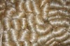 Jute Fiber