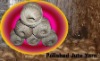 Jute Yarn Dyed Ball : 1ply, 2ply....