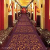 KTV Floor Carpet(DH01)