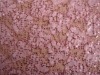 LACE GROUND-3MM BEADS EMBROIDERY