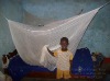 LLINS,long lasting insecticide treated mosquito nets to Africa deltamethrin/permethrin