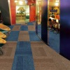 LS Series PVC Carpet