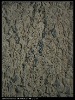 Lace fabric