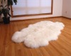 Lambskin Quarto Rugs