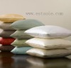 Latest 100% Handmade Mulberry Silk Pillow