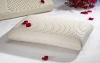 Latex pillow/100% natural latex/massage/Besides acarid/without invoice