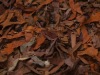 Leather and Suede Rough Cut Shaggy Rug in Brown close up