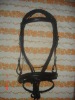 Leather bridle