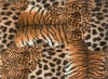 Leopard Emboss PVC