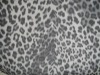 Leopard Polyester print  Memory Fabric   Warp Printing  Yarn Dyed Fabric leopard print Fabric