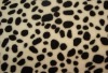 Leopard grain printing coral fleece fabric