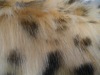 Leopard plush fake fur
