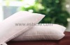 Light And Luxurious Natural Mulberry Silk Pillow