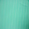 Light Green / white Multicolor Combo printed Nylon Stripe Tricot 4-way Spandex Fabric