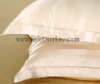 Light Yellow Shiny and Soft 100% Mulberry Silk Pillow