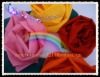 Lining Fabric for bags