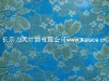 Lita M5015 gold thead jacquard lace fabric