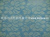 Lita M5025 nylon jacquard lace fabric