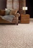 Livingroom carpet
