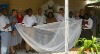 Long Lasting Insecticidal Nets LLINs