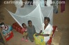 Long Lasting Insecticide Treated Nets (LLIN'S) For Export