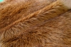 Long Pile Plush Fur