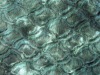 Long Pile Plush Velvet/knitting fabric