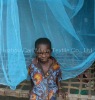 Long lasting insecticide treated mosquito net/ LLINs against Malaria