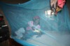 Long-lasting insecticide treated quadrate mosquito nets