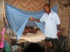 Long-lasting treated high-quality insecticide mosquito nets